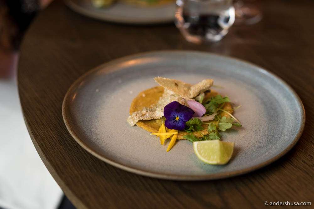 Crispy cod skin taco by chef Rosio Sanchez of restaurant Sanchez in Copenhagen, Denmark