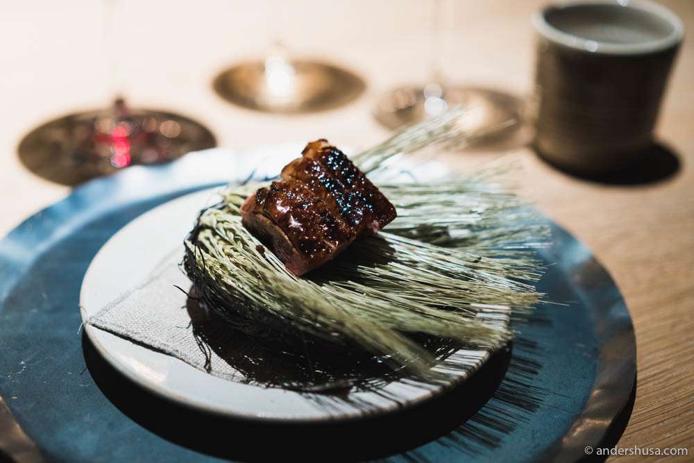 nomagameandforestseasonthebestandmostprovocativemenu