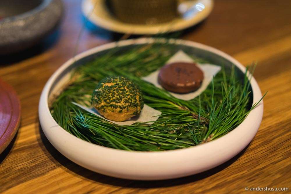 Fermented rye biscuit with chocolate and licorice, and choux pastry with meadowsweet cream.