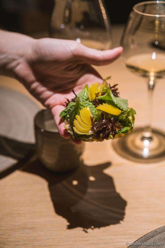 First Look Noma’s Seafood Season 2020 All Dishes From the New Menu