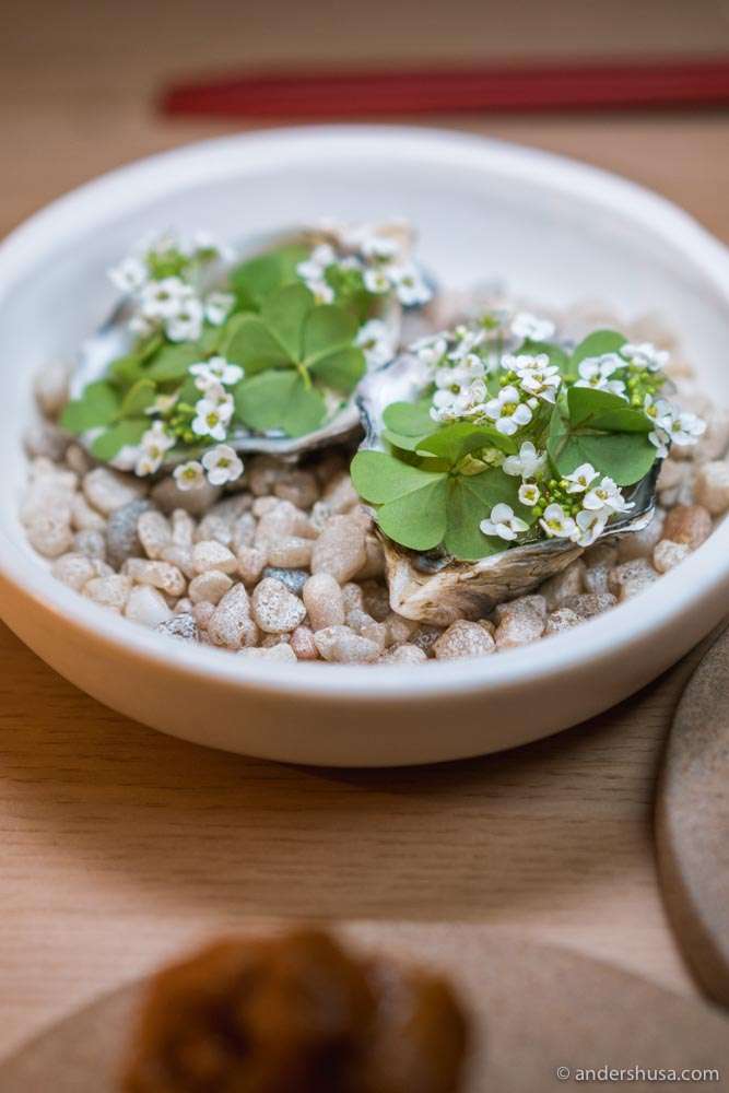 Kusshi oysters.