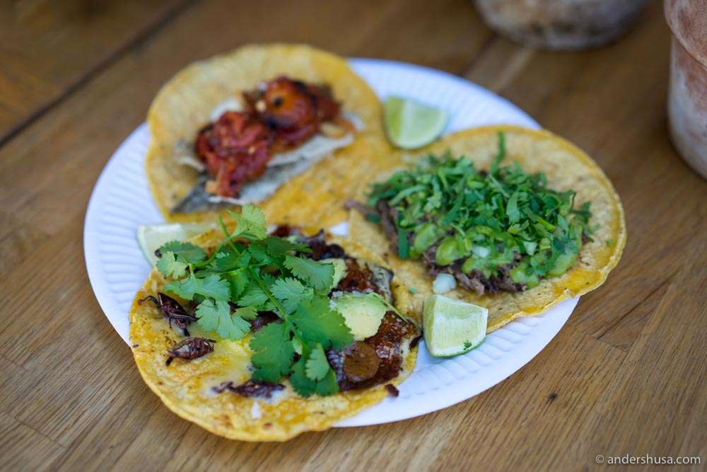A trio of authentic Mexican tacos!