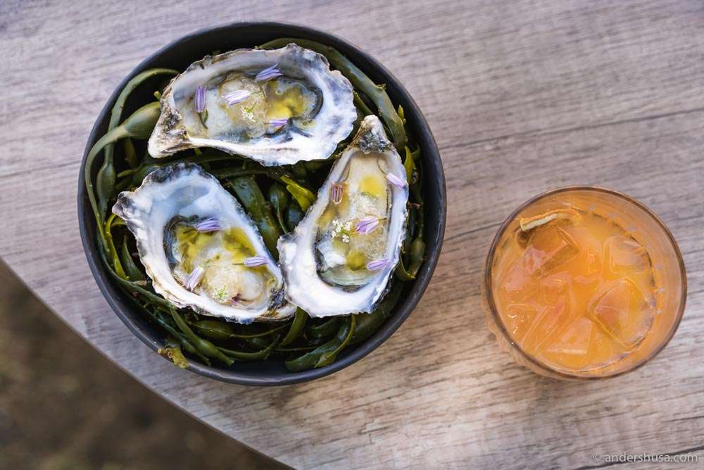 Oysters, citronette, elderflower vinegar, and chive flower.