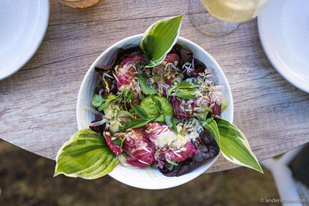 Ceviche salad.