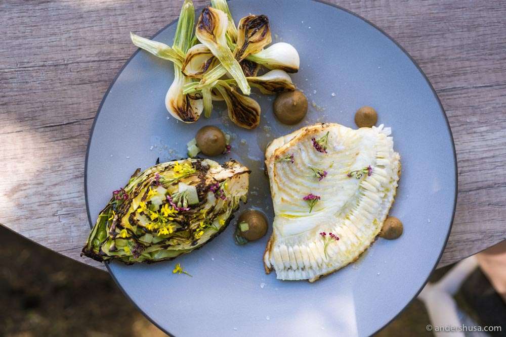 Grilled turbot, cabbage, and onions.
