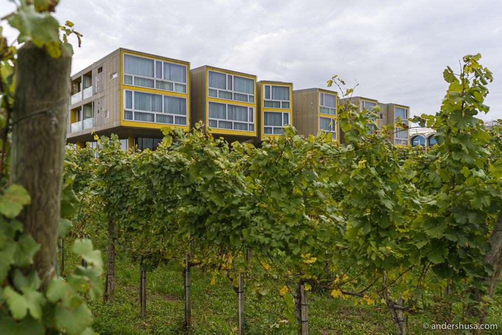 The Loisium Langenlois Wine & Spa Hotel is located in the middle of the vineyards in Kamptal.