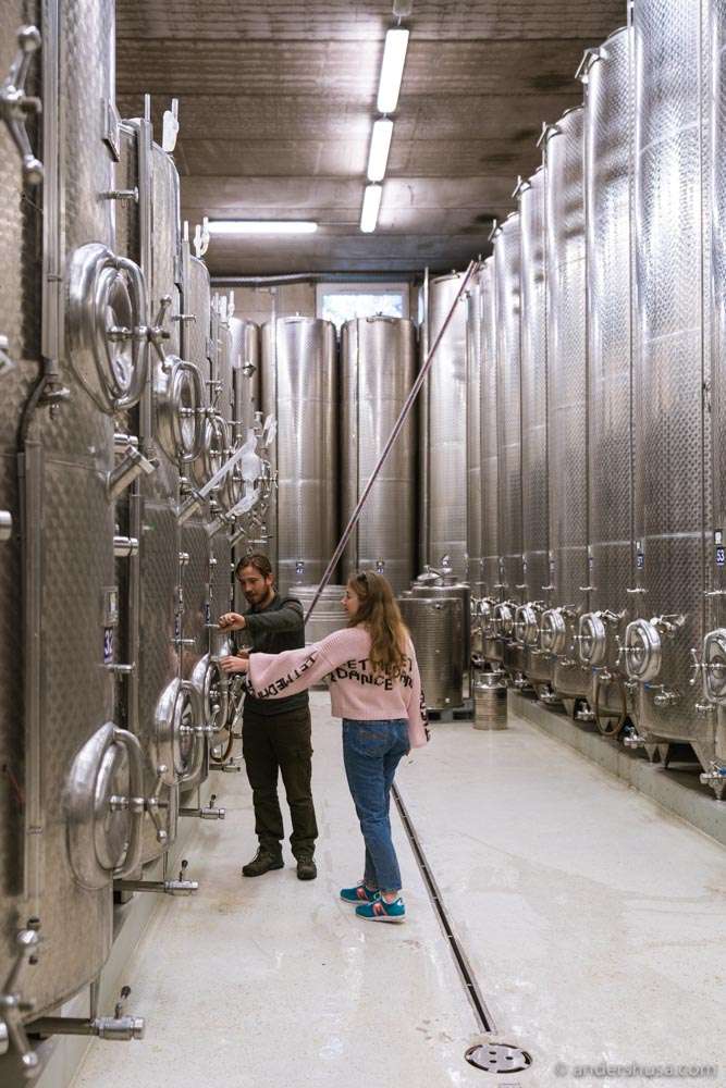 Learning more about the Sattlerhof vinification philosophy in the cellar.