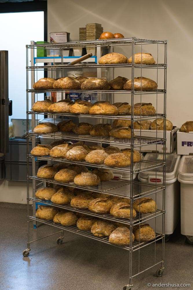 Loaves for days!