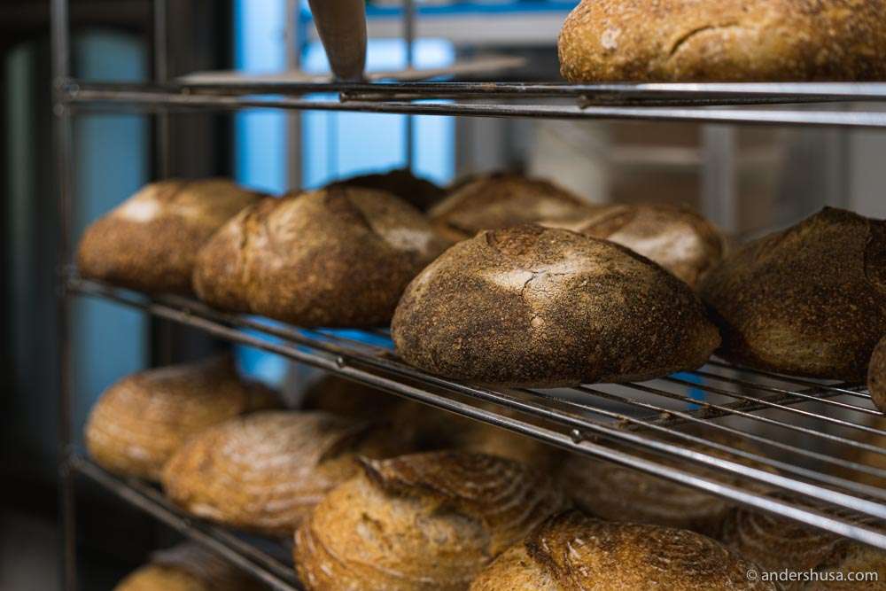The sourdough bakery Kotzebue has expanded into a full restaurant: Tsunft.