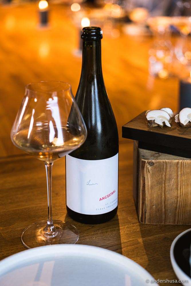 Claus Preisinger – Ancestral, one of our favorite Austrian producers.