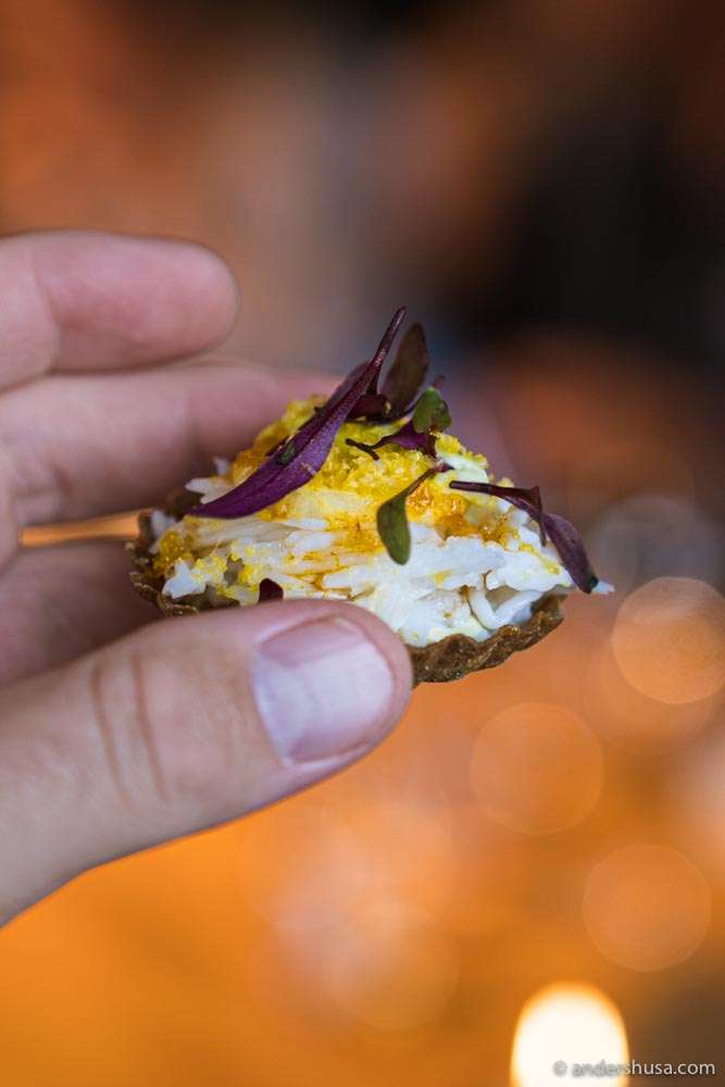 King crab, crispy bread, sea buckthorn, duck egg yolk, apple, parsley and tarragon emulsion.