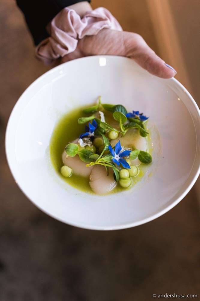 Scallops, yuzu, cucumber, vinegar, and soy.
