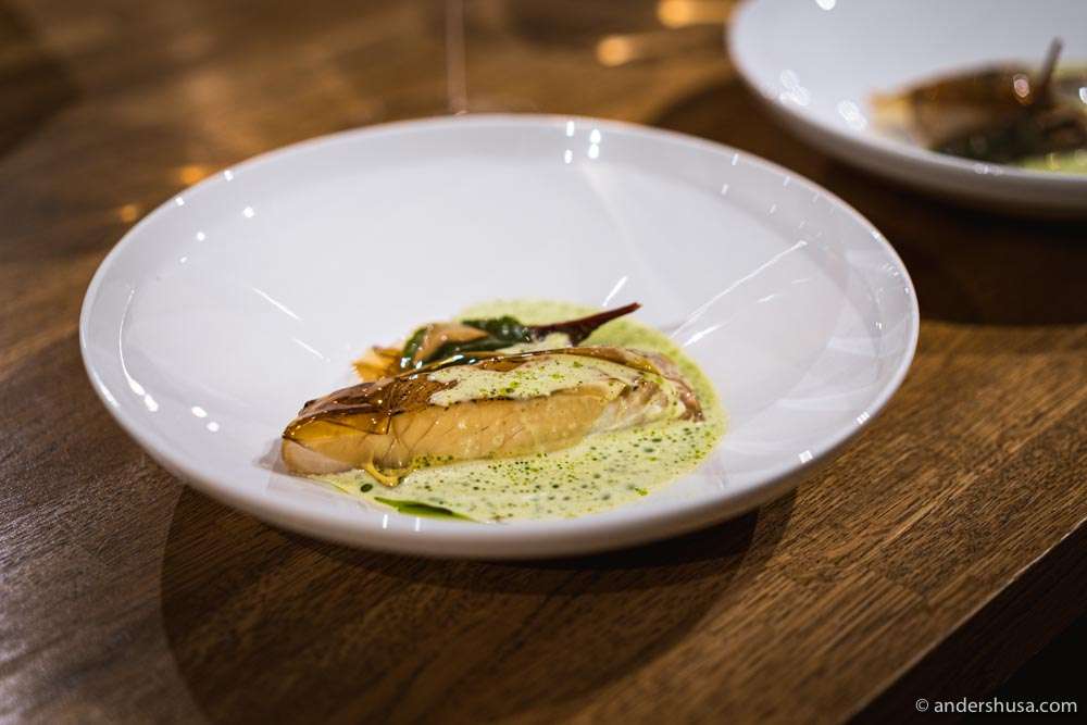 Halibut topped with a jelly made of apple and celeriac, served with a sauce of mussels, parsley, and leek oil.