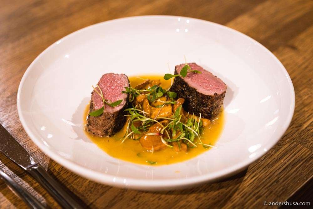 Lofoten lamb, chanterelles, micro coriander, scarlet clover, and a sauce of chanterelle and lamb jus.