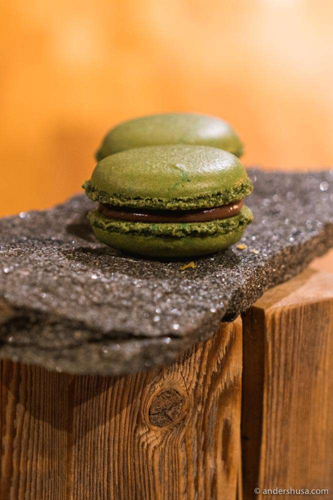 Chocolate and meadowsweet macarons.