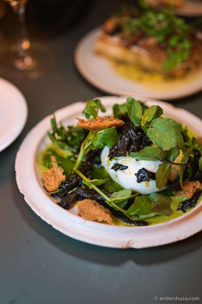 Burrata and crispy bread with fresh greens.