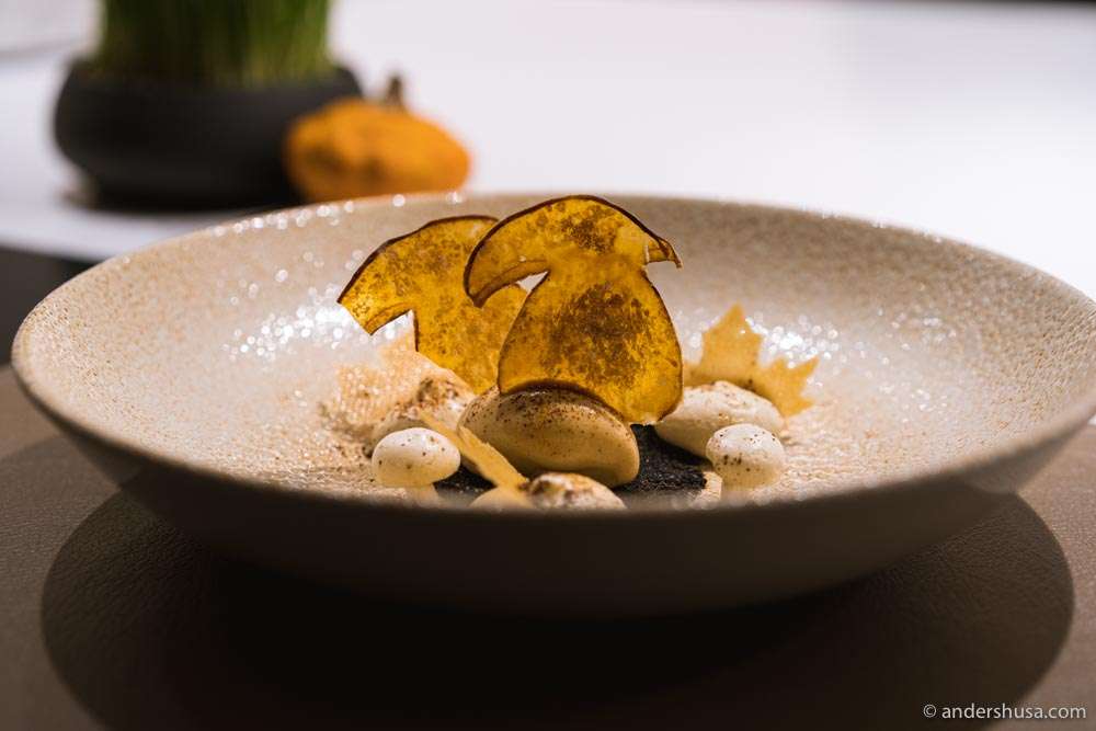 Cep mushroom and coffee with caramel ice cream.