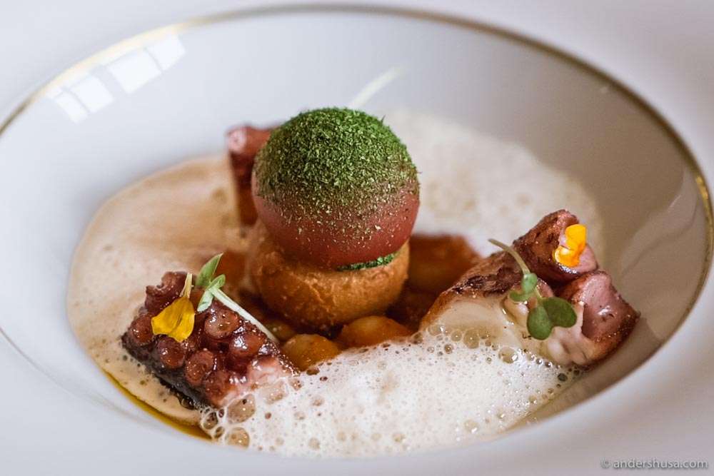 Octopus, tomato, white bean, and zucchini.