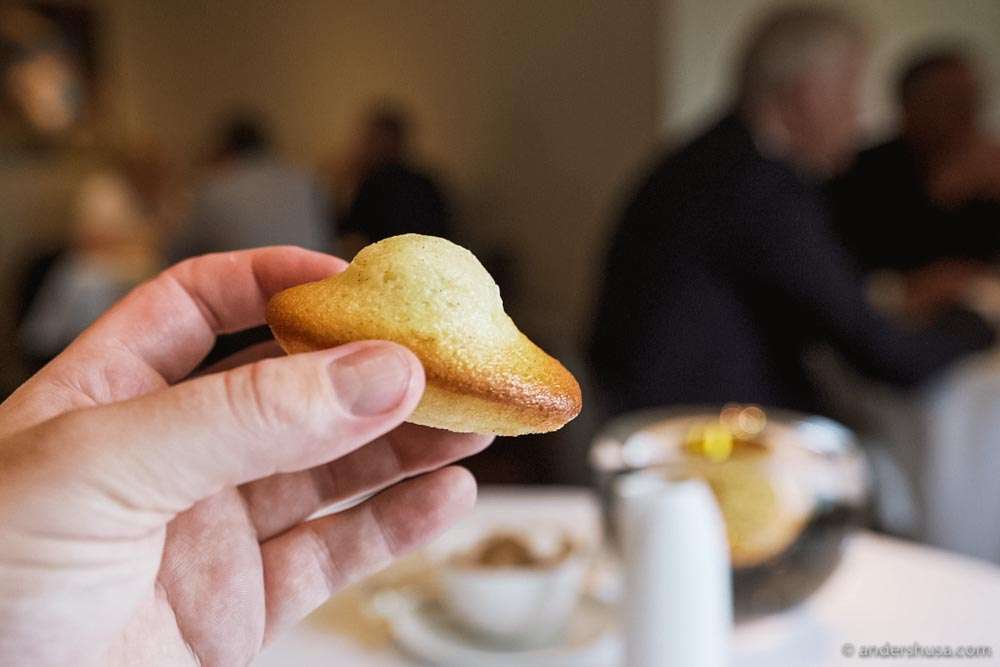 And fresh madeleines to end an amazing meal.