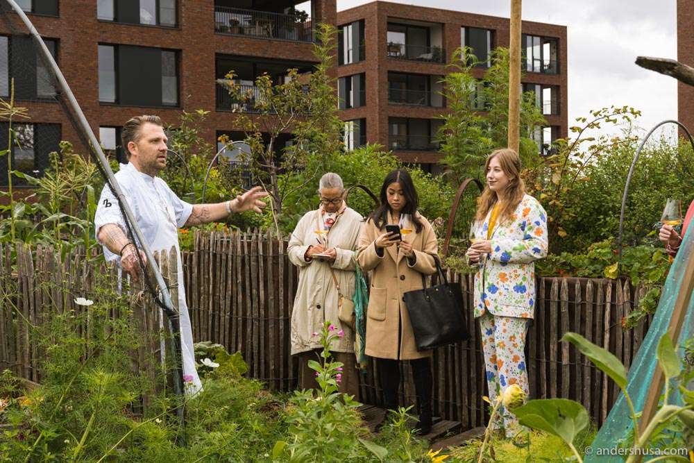 We started our meal with a tour of the rooftop garden.