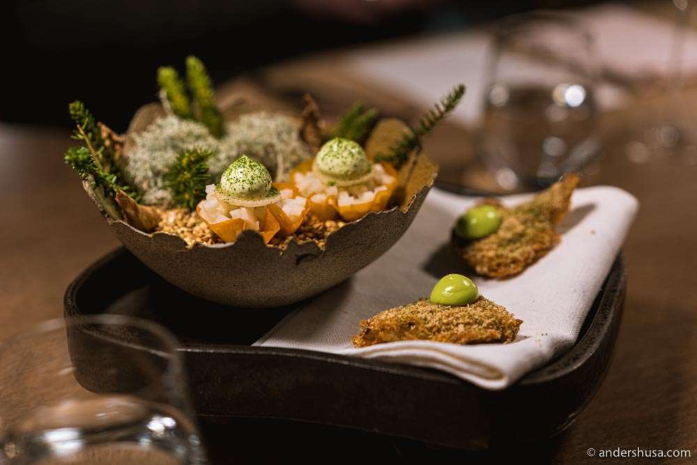 Carrot tart with fermented lemon, and fried oyster mushroom with jalapeño.