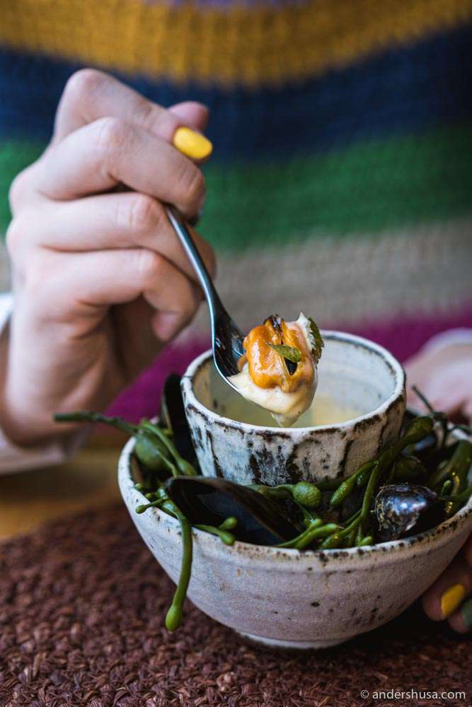 Dill Iceland's First MichelinStarred Restaurant