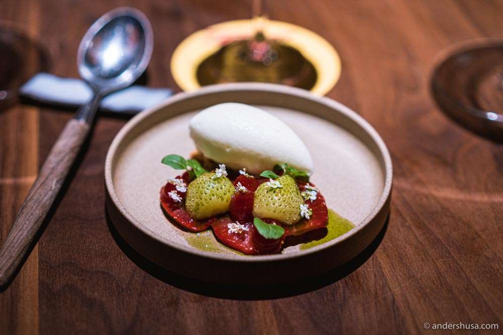 Strawberries, rhubarb, yogurt and olive oil ice cream, & elderflower.