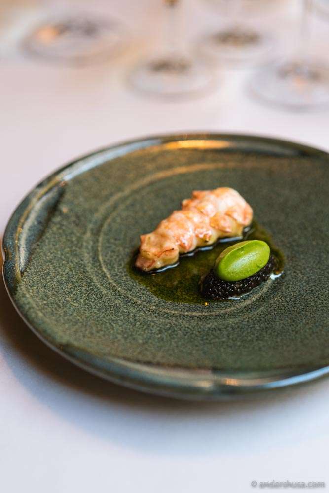 Norwegian langoustine, miso butter, caviar, split pea purée, apple, & dill vinaigrette.