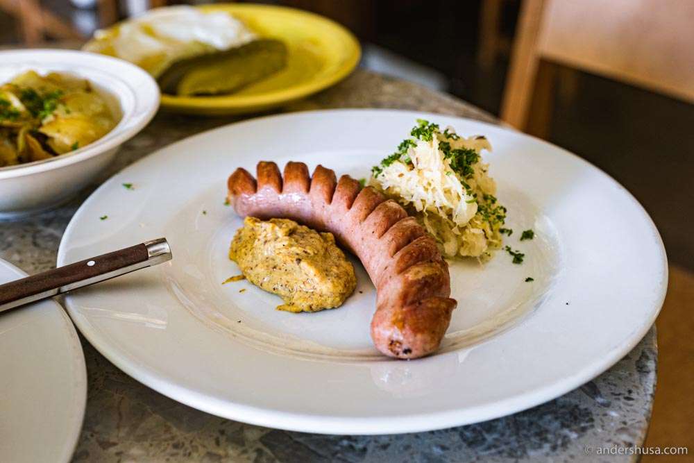 Thüringer bratwurst with mustard and sauerkraut.