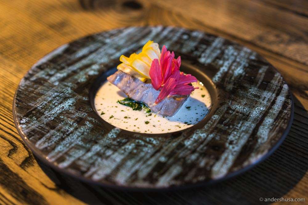 Dry aged amberjack with courgette and begonia.