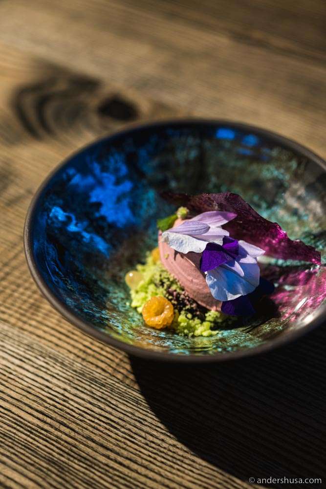 Honeysuckle ice cream, petunia, and almond biscuit.