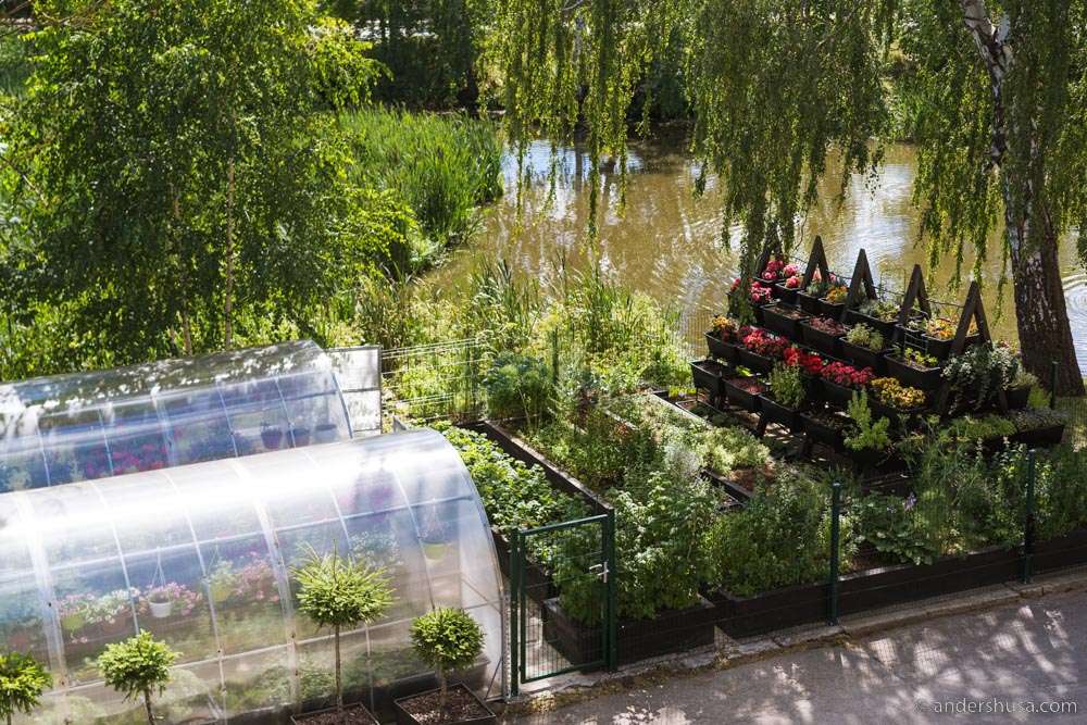 The garden and greenhouse of Max Cekot Kitchen.
