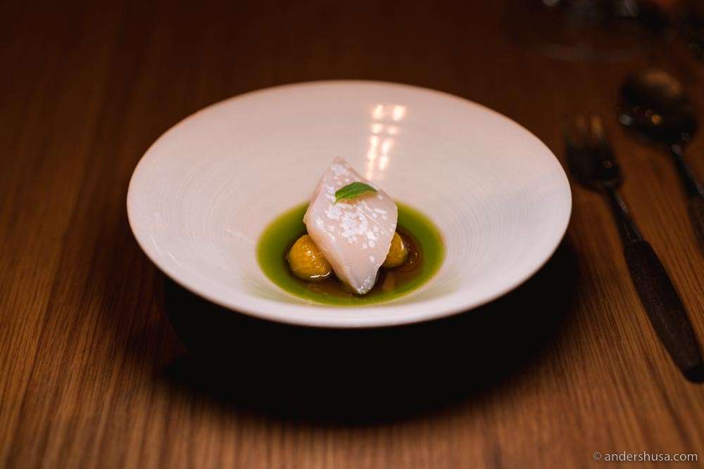 Scallops, semi-dehydrated tomatoes, black currant leaf oil, apricots, & ginger.