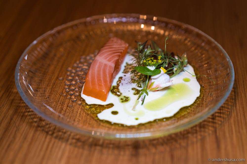 Cold-smoked Arctic char, herbs and flowers, sauce of cream, horseradish, & dill oil.