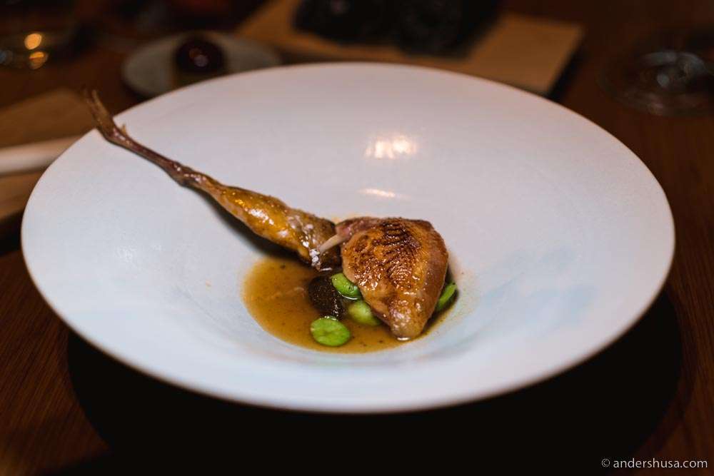 Quail, fava beans cooked with aquavit butter, homemade curry, & quail stock.