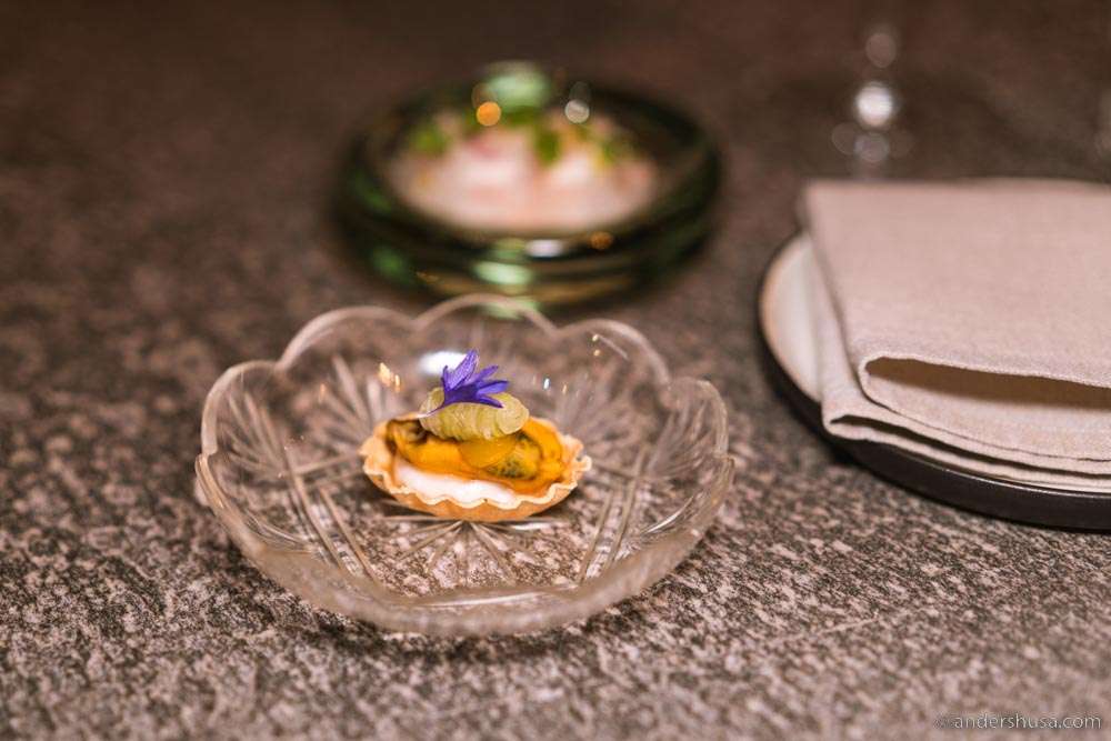 Seaweed tart with oyster emulsion, mussel glazed with plum, & sea buckthorn.