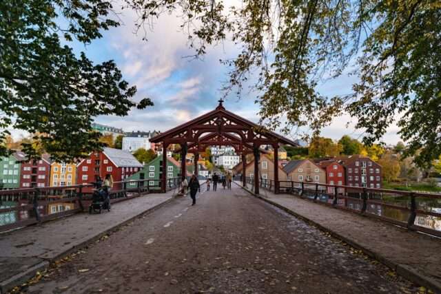 Our Favorite Restaurants in Trondheim