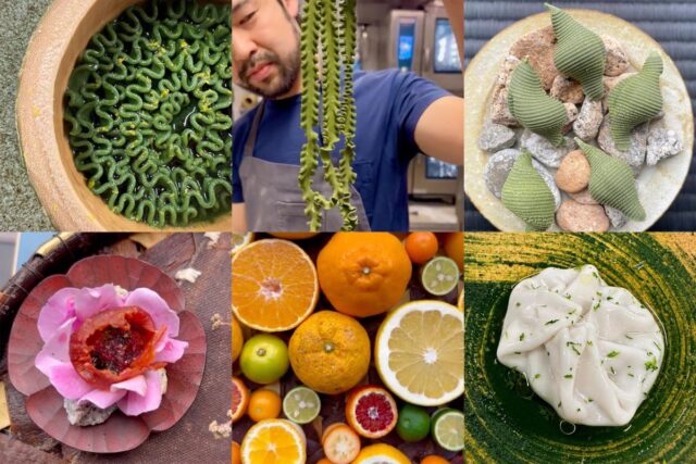 Sneak Peek: Noma Kyoto