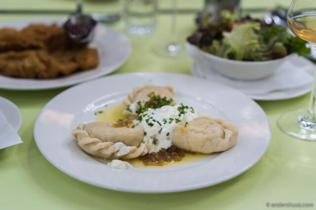 food-and-winery-tour-harvest-in-austria-gut-oggau-heinrich-loimer-taubenkobel-esslokal-best-restaurants-natural-winemakers-wine-foodie-dining-eating-drinking-travel-1