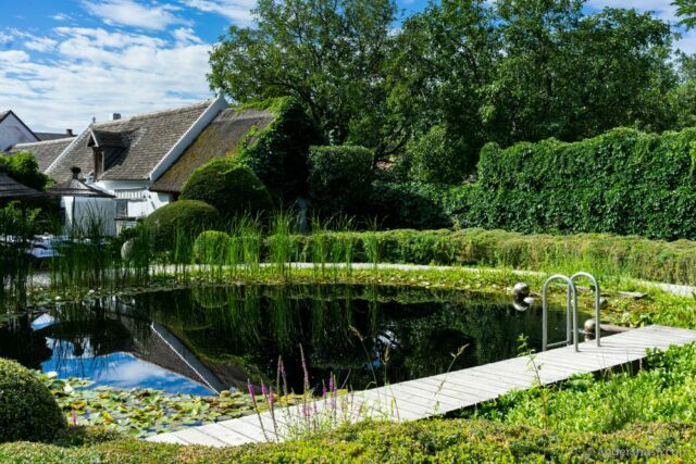 food-and-winery-tour-harvest-in-austria-gut-oggau-heinrich-loimer-taubenkobel-esslokal-best-restaurants-natural-winemakers-wine-foodie-dining-eating-drinking-travel-17