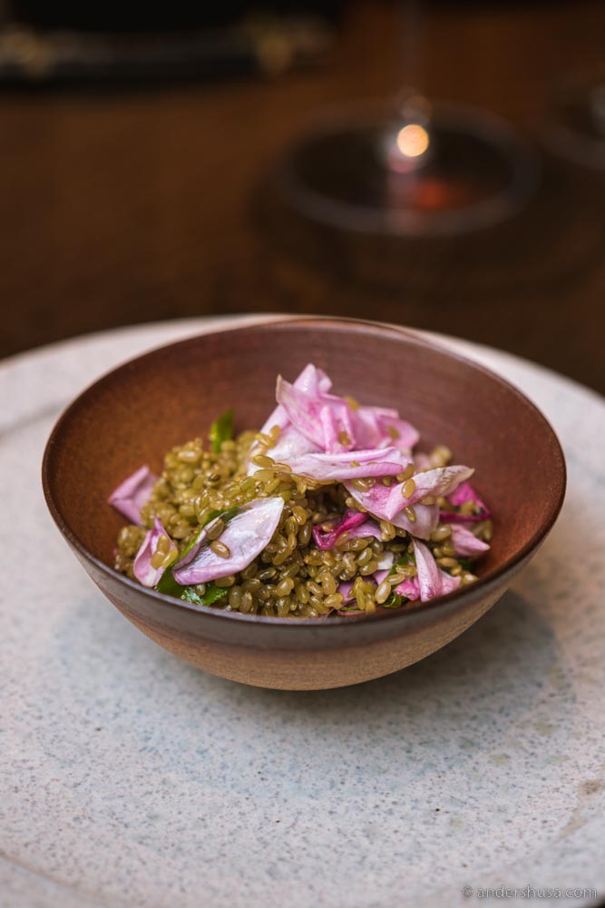 Video: Noma Kyoto - $1000 Japan Pop-up by René Redzepi