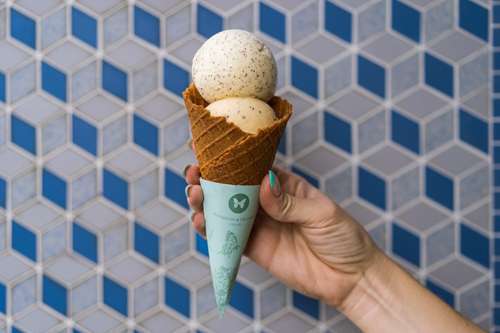 http://Monarchs%20&%20Milkweed%20Gelato