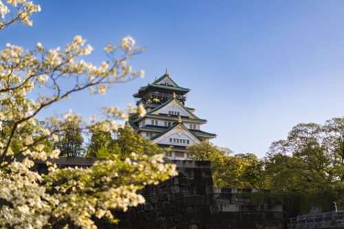 The Best Restaurants in Osaka