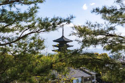 The Best Restaurants in Kyoto