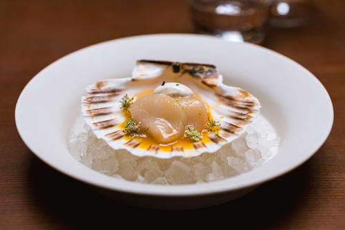http://Maison%20by%20Sota%20Atsumi